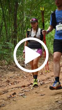 BIB:  <button type="button" onclick="openModal(26809421)" class="btn btn-primary btn-sm float-right" data-toggle="modal" data-target=".modal-high-quality">
                <i class="fa fa-download"></i> Download
                </button>